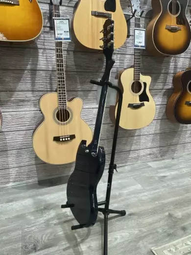 Epiphone - EISCFVPBNH 4